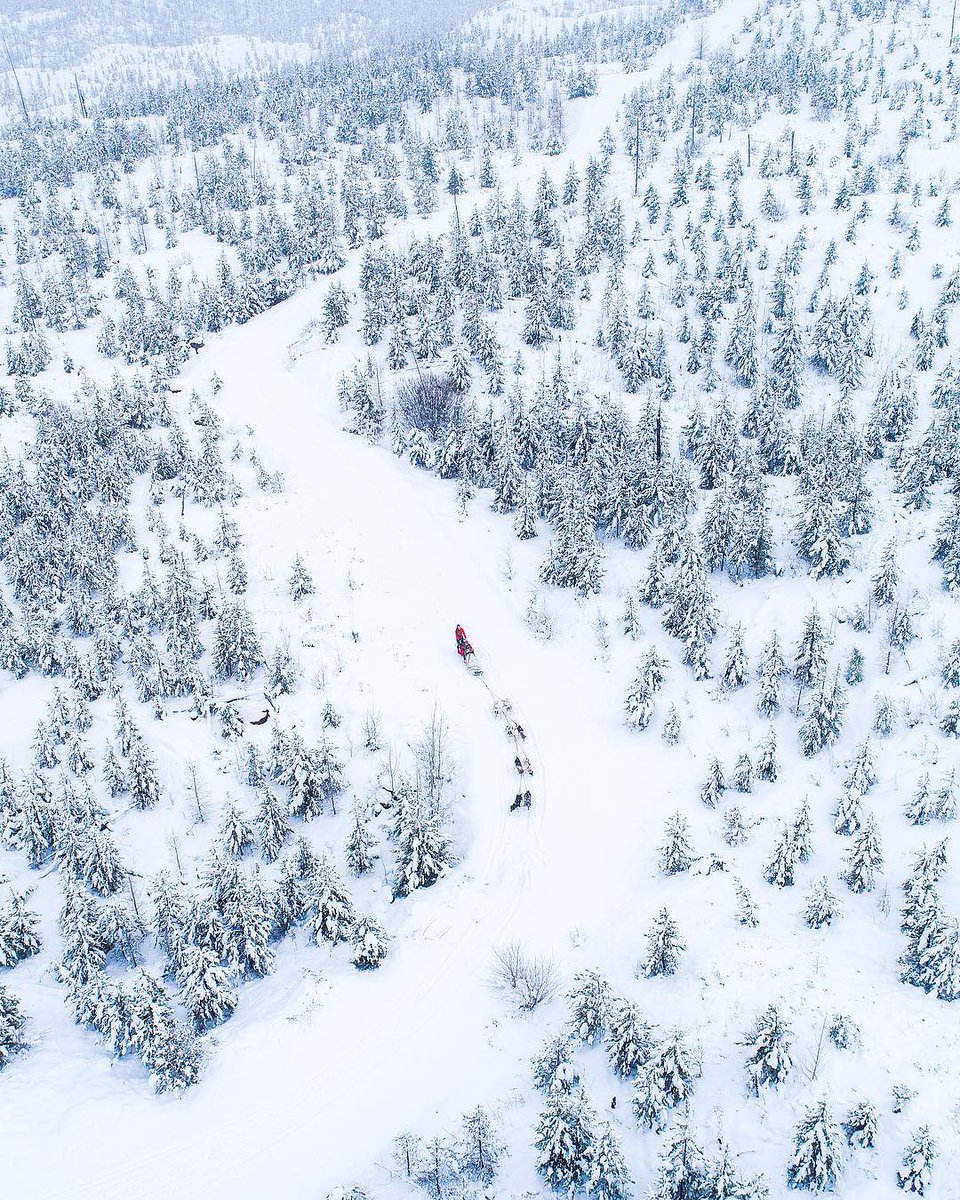 earth's tweet photo. Weekend getaway in Montana ❄️ https://t.co/7bLgOCQsIk