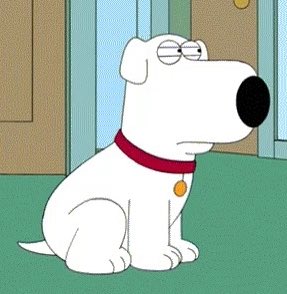 FirstDogB tweet picture