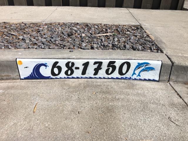IvanTheCurbGuy's tweet photo. Im having so much fun out here. #AlohaCurbs #Dolphins #OceanWaves https://t.co/PYGwrjQwLI