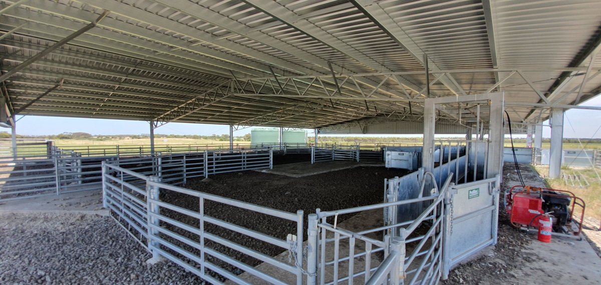 ActionSteel's tweet photo. Another @ActionSteel x @ProWay2000 collaboration.❤️
A 30m x 24m x 3m sheep yard cover.📍Wingeel VIC.
#BigSheds #ProWayAUS https://t.co/r5Vqa4w08s