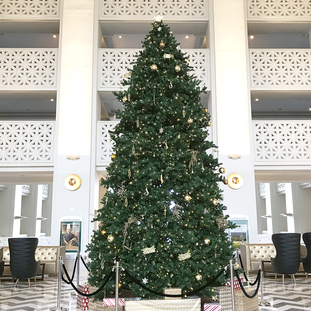 leopalaceresort's tweet photo. 今年は皆様をお迎えできない寂しいクリスマス🎄となりましたが来年のこの時期は一緒に祝える事を祈ってツリーを飾りました。今年は違う日常でWe wish you a very Merry Christmas🌟 #グアム #南国リゾート #常夏 #家族旅行 #家族グアム #クリスマス #クリスマスツリー #新たな日常 #今年のクリスマス https://t.co/F6j1ywYSOZ