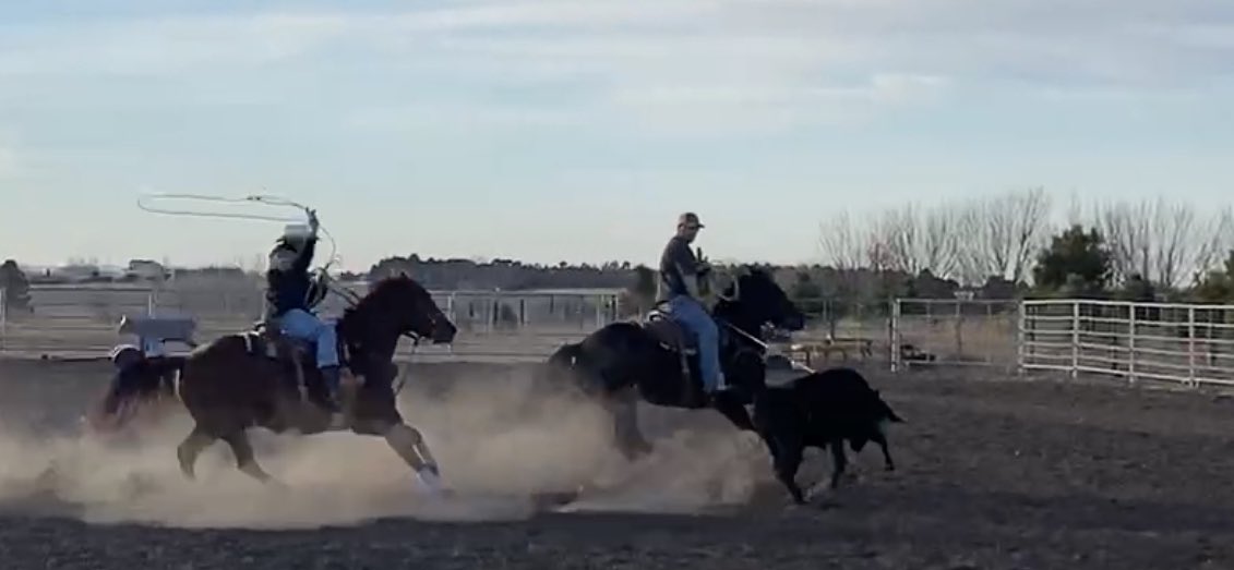 10Mayhem10's tweet photo. Doing Covid19 things during a 60degree December day in Nebraska with Dad. 72 and bringing it. #heelomatic #NFR2020 https://t.co/0bxO75yqbp