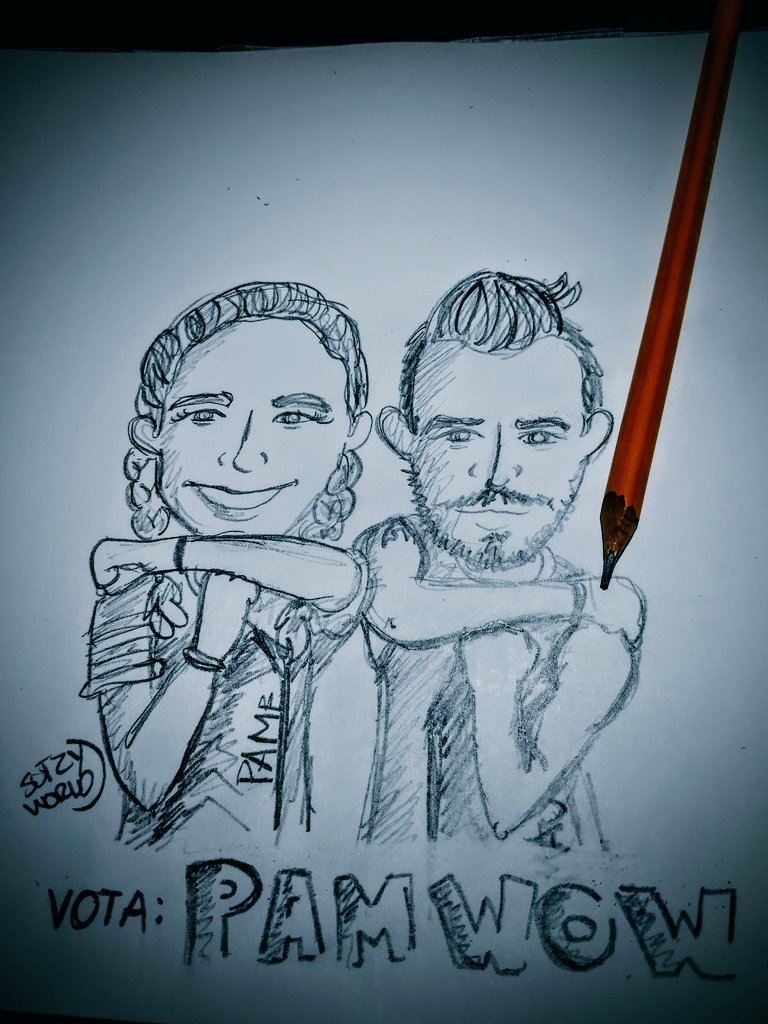 SutzyWorld's tweet photo. El sketch #SutzyWorld  de hoy es para que no olviden votar por @pameverdirame y @mauwowhm  #PamWow  ✍🏻🐒⚽ https://t.co/vKnRic8nId