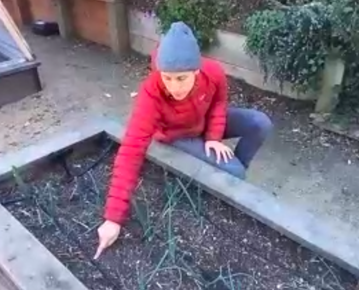 lafayettesfusd's tweet photo. Ms. Price's class on a #virtualfield trip with the Garden for the Environment today! Students learned about #urbanfarming and the #composting process. @SFUnified #distancelearning #communityconnections #joyfullearning https://t.co/nw5NSEXWeP