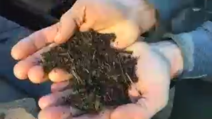 lafayettesfusd's tweet photo. Ms. Price's class on a #virtualfield trip with the Garden for the Environment today! Students learned about #urbanfarming and the #composting process. @SFUnified #distancelearning #communityconnections #joyfullearning https://t.co/nw5NSEXWeP