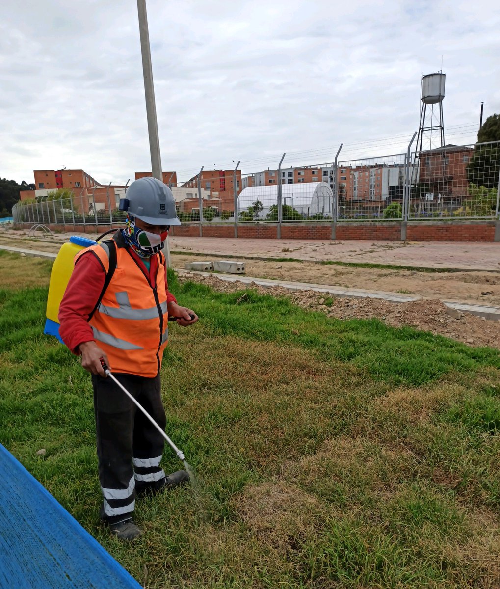 idubogota's tweet photo. #ComponenteForestal 🍃 Realizamos la fertilización del césped en todas las áreas de los tramos 5B y 6, garantizando el crecimiento del material vegetal y así dar cumplimiento al diseño paisajístico aprobado por la Secretaría de Medio Ambiente. https://t.co/8hxx6d4G71