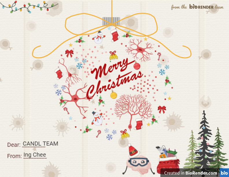ingcheewee's tweet photo. Always have fun designing and playing with the icons in BioRender 🥰🥰
'Merry Christmas and Happy New year Everyone!" 
Created with https://t.co/CqoK0OPMwf @BioRender @CANDL_neuro https://t.co/TbrSiTpXNq