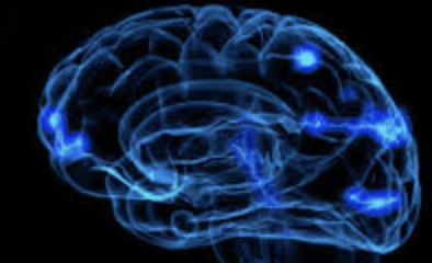 ecalixto's tweet photo. Después de los 35 años de edad, el número de neuronas se pierde gradualmente. La memoria comienza a fallar y cuesta trabajo aprender nuevas cosas.  

#NocheNeuroTuits

El Perfecto Cerebro Imperfecto https://t.co/rcxDHTzir6