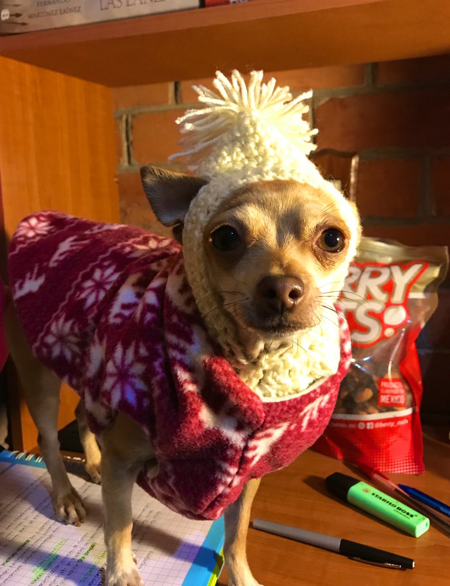 moniduv's tweet photo. Hola amiwos, hace mucho frío, abríguense bien. ❄️ https://t.co/IoewP7OapM