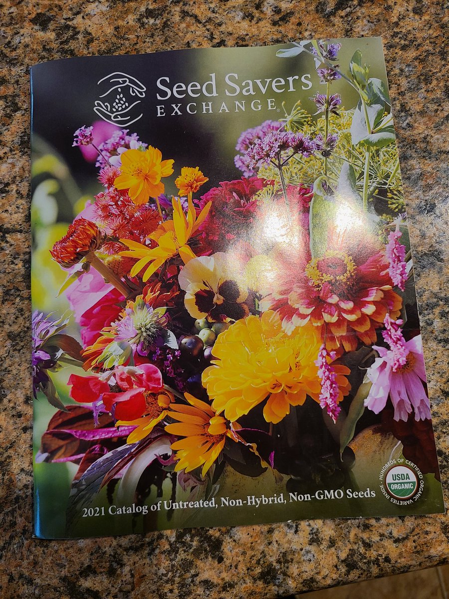 I'm not sure that I'm even qualified to touch this catalog but its fun to dream.