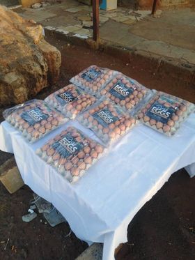 _InspiredPeople's tweet photo. Meet Thokozani Sibeko, owner of Thokozani Egg and Meat Production from Vosloorus. He is an aspiring poultry farmer currently selling eggs to raise capital. He does door to door sales, sells at ranks and schools. His goal is to encourage youth entrepreneurship amongst the youth. https://t.co/43bSQcFlTy