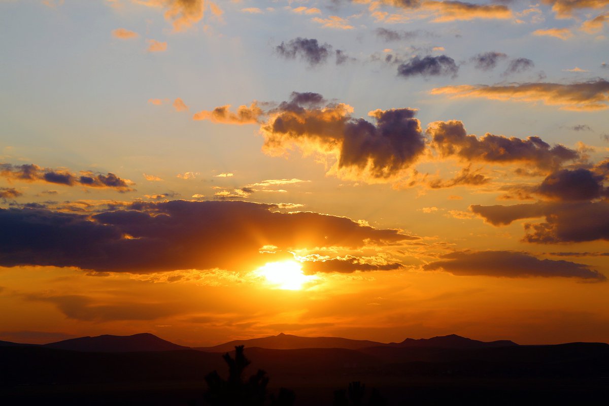 Eric S. Kim tweet media