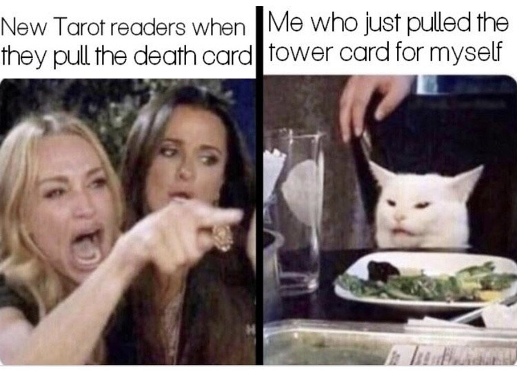Not only do I celebrate pulling this feared card for myself, I’ve been told by other Readers that I am the Tower Card. (That’s the sweetest thing I’ve ever heard 🥺🥰) #TarotTuesday #NextLevelMindset #TheTower #EmbraceTheInevitable