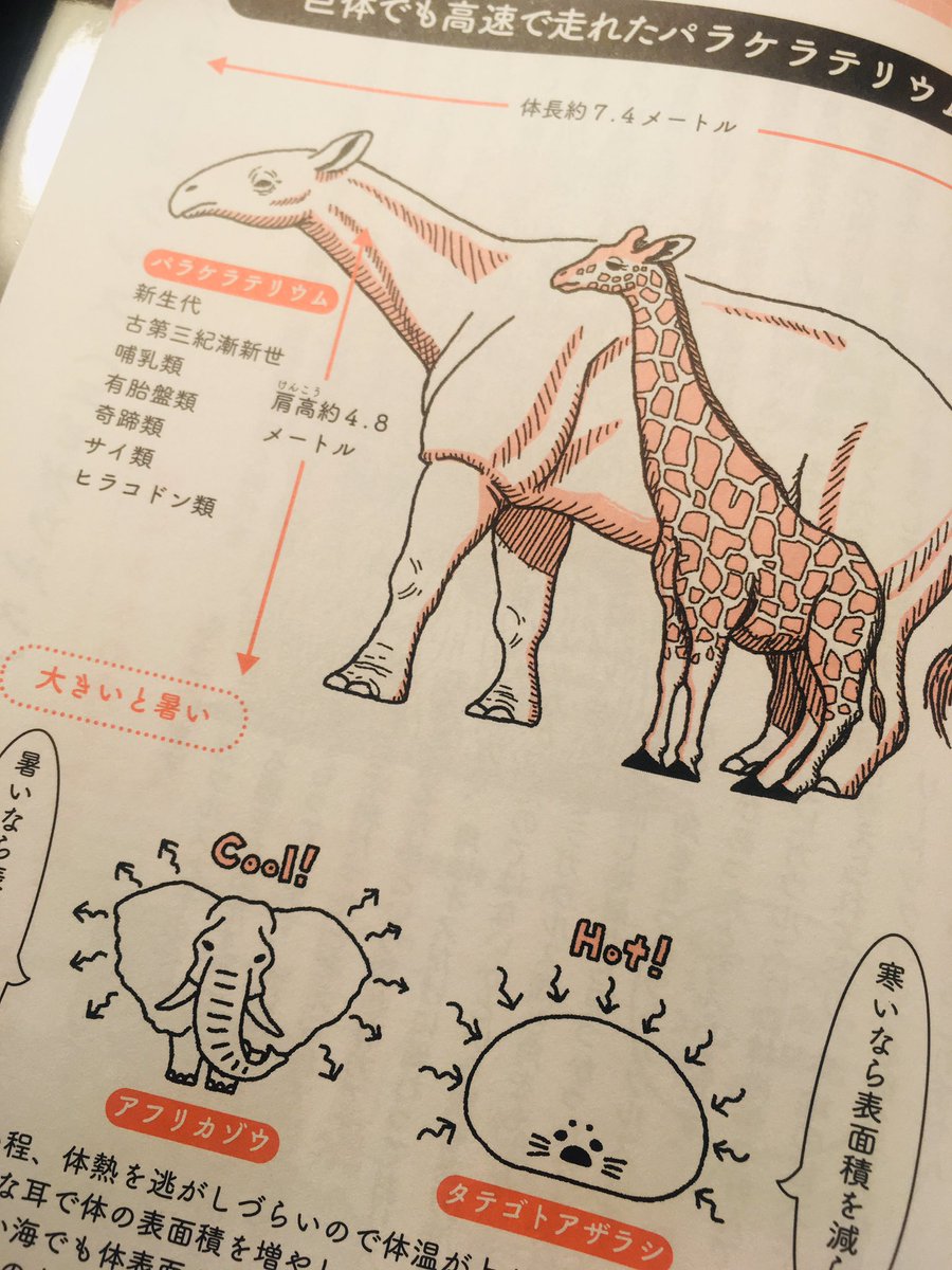 挿絵を担当した古生物本が届いた!今回は細密度がかなり低め。まもなく情報解禁できそう。。。! 