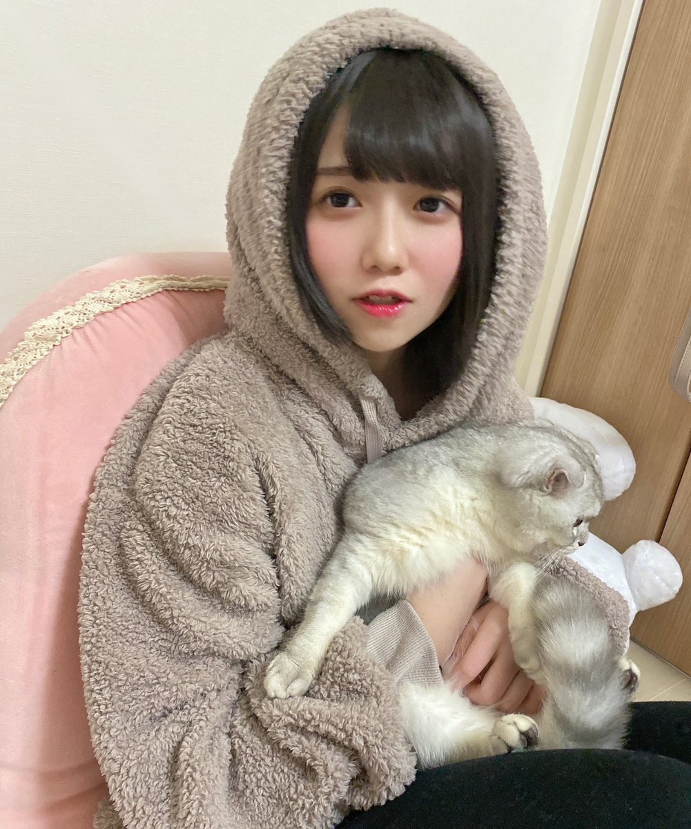 こちら愛猫のゆずちゃんですﾆｬﾝ🐾