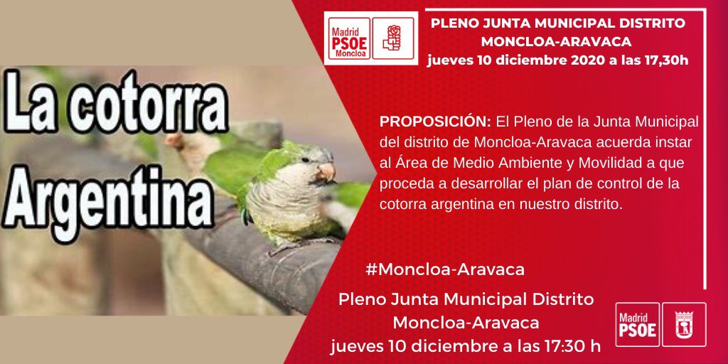 PSOEMoncloa's tweet photo. 👋 🗓Jueves 12 diciembre Pleno Junta de Distrito #MoncloaAravaca #Proposiciones https://t.co/f3RiuFu9qY