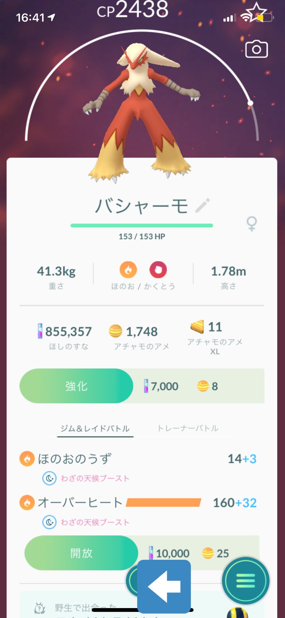 野生バシャーモ Twitter Search Twitter