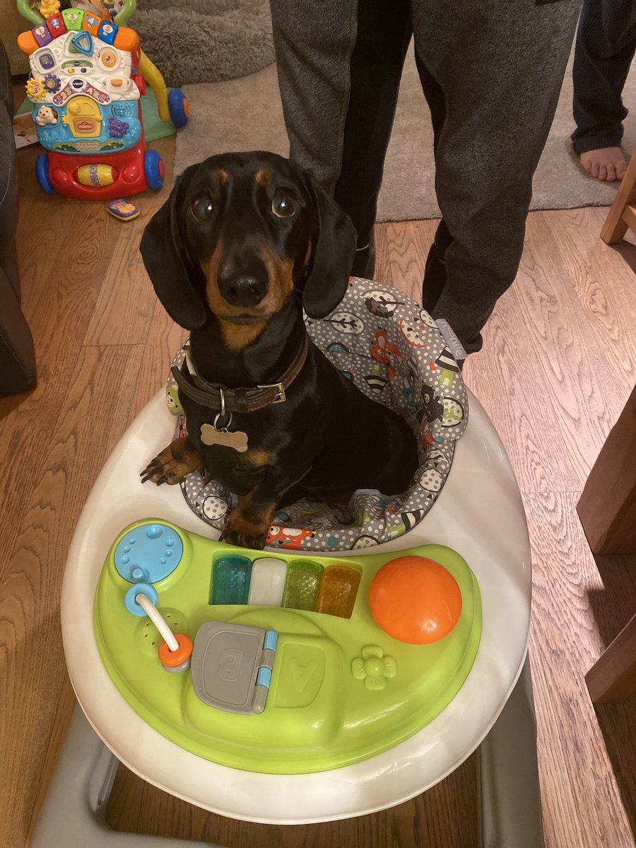 Steve and Stan-Stan The Sausages tweet media