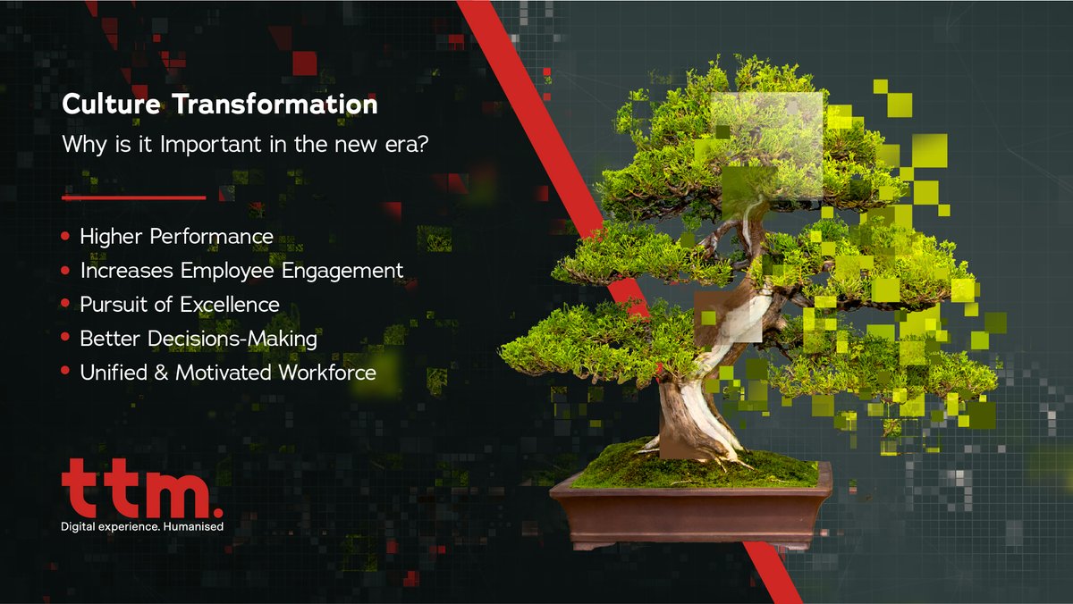 TTMassociates's tweet photo. What drives organisations to invest time, energy & resources on building a values-based #culture? Why is it important the values of an organisation to be aligned with the values of the employees? Discover more: https://t.co/BSXPoPvDpT #TTM #valuesbasedorganisation https://t.co/0Op8QkzGhl
