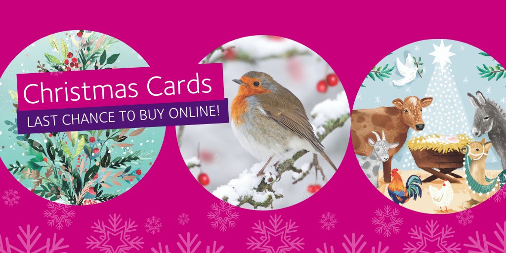 *LAST CHANCE!* Our online orders for our Christmas cards close today at 4pm! Your purchase will help us provide care to our patients and their families throughout the Christmas period and beyond. To buy online visit here now: pah.org.uk/christmascards