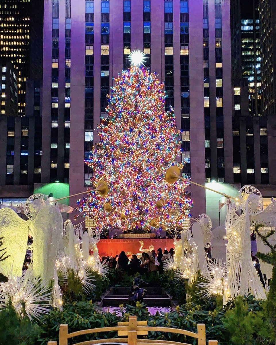 Jody Barrett #ShowoffByDesign tweet media