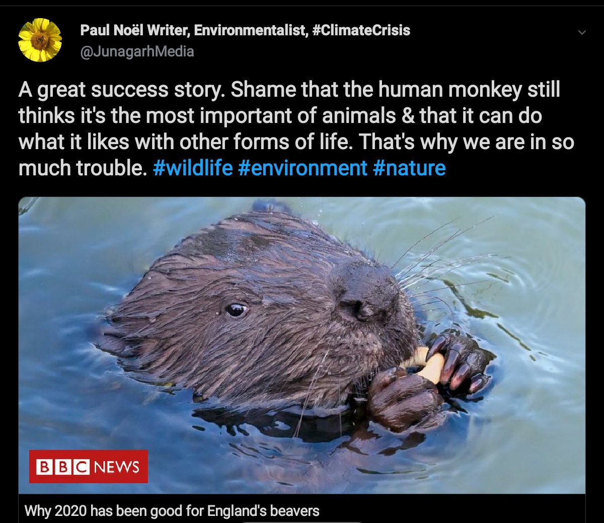  #Beavers  #Ecology  #Wildlife  #NatureBasedSolutions  #Species  #Habitat  #EnvironmentalEngineering  #Environment  #England  #KeystoneSpecies  #NativeSpecies  #Biodiversity    https://twitter.com/JunagarhMedia/status/1335939666764296194