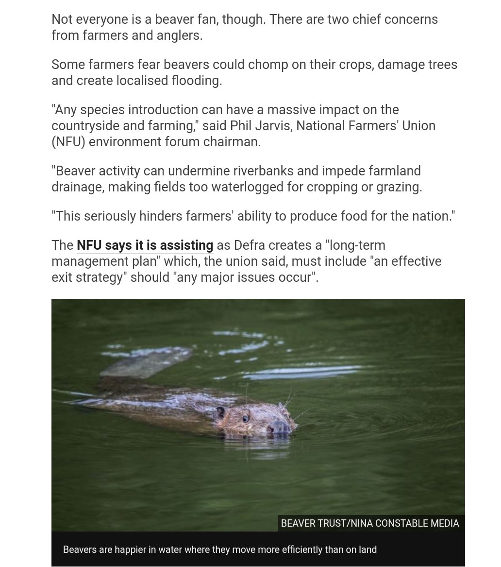 land. The  #livestock rearer introduced two  #beavers into an enclosure around a  #stream at  #WoodlandValleyFarm in 2017 and said they had started building their first  #dam within two nights. They have since built a series of  #dams, creating what Mr Jones called...