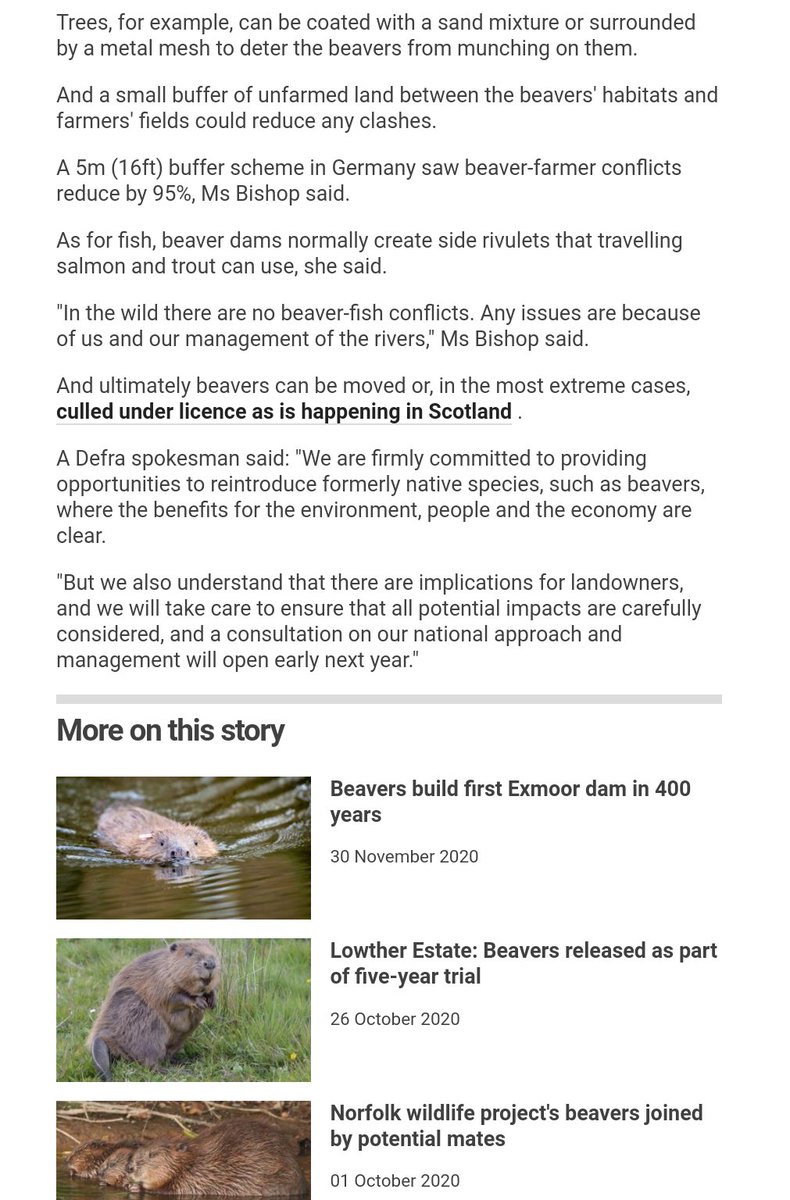 ... adding to all the lumps from the other tributaries and then causing a  #flood," Mr Jones said. He also said the  #pools the  #beavers created had sparked an "orchestra of life", adding: "There is no  #species that does as much as this one." Ms Bishop said we spend large sums...