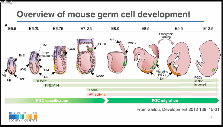 Beyond Genes tweet media