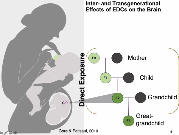 Beyond Genes tweet media