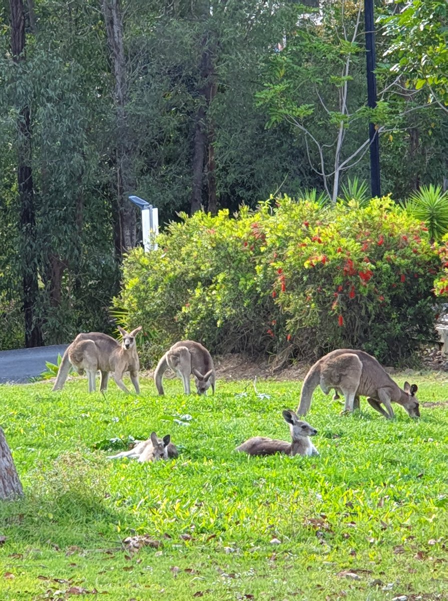 It could quite possibly be that Education Provider Kids World Gilston has the most wonderful, natural environment for their kids to play! 

Complete with a veggie garden and abundant wildlife, every inch of space provides a new wonder for kids to explore.