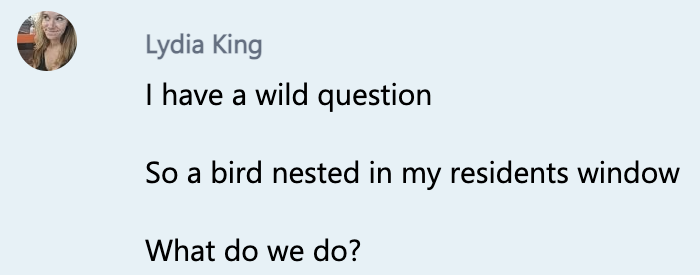 TheKingofData's tweet photo. I was just looking back through some old Res Life messages circa my junior year of college, and I have to say, I miss when a bird's nest was the biggest issue of my day 😅 #RALife #ResLife @morgharr https://t.co/MuU6dzUG71