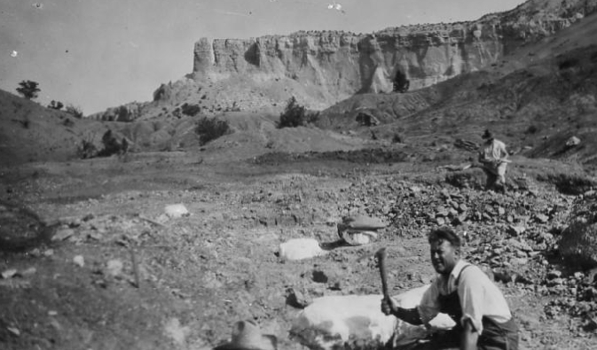 In the 1930s, the famous paleontologist Charles Camp from the University of California, Berkeley work a newly discovered locality at Ghost Ranch - the Canjilon Quarry