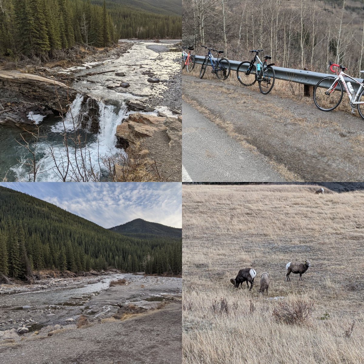 nimiwarrier's tweet photo. Dear Calgary Twitterverse,
Thank you for letting me know about this amazing bike ride. Rode the Sheep River highway to Sheep River Falls. It is as a fantastic ride to finish up this year. @Crackmacs @mikesbloggity https://t.co/lWg3JjLMZX