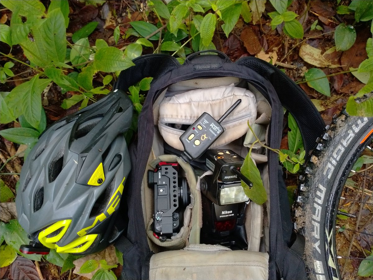 tedadnan's tweet photo. Wednesday, 9th December 2020, am-ish.
Eh wait, I thot today we will riding along Bukit Naga Sungai Long enduro trail ony, nobody told me there's a photo session as well lah! 😲
#MTB #enduro #Sony #SonyA6400 #MET #MetParabellum #MagicMary https://t.co/JipjR55Cha