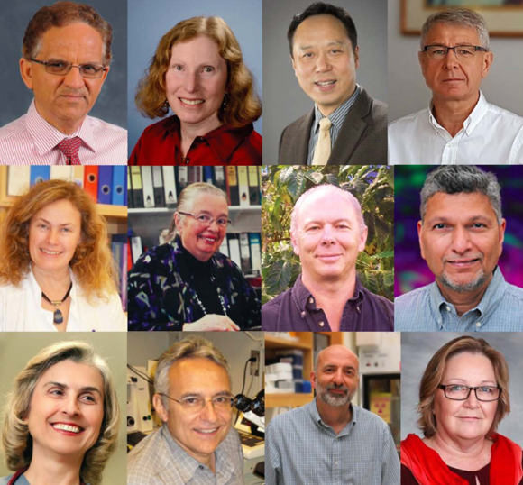 Beyond Genes tweet media