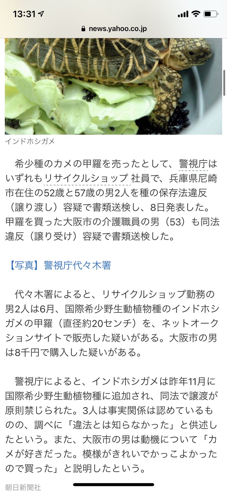 鰐 1 16書籍化第二弾発売 コメント欄に 鰐さん貴重な亀の甲羅売買してないですか ってあったのはこれか 笑 普通の人はワシントン条約付属書1に入ってる生き物の死体の一部でも売ったら違法とか知らないよなあ インドホシガメなんて入ったの最近だし