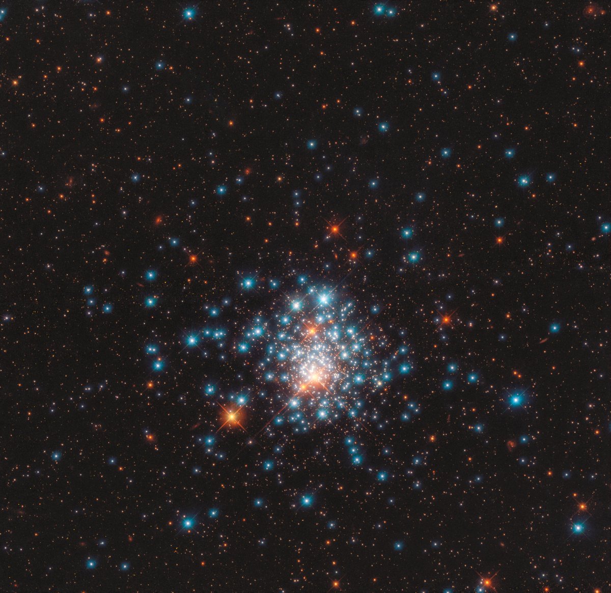 The globular cluster NGC 1805, out on the fringes of the Large Magellanic Cloud. About 160,000 light years away in the constellation Dorado. Credit: ESA/Hubble & NASA, J. Kalirai