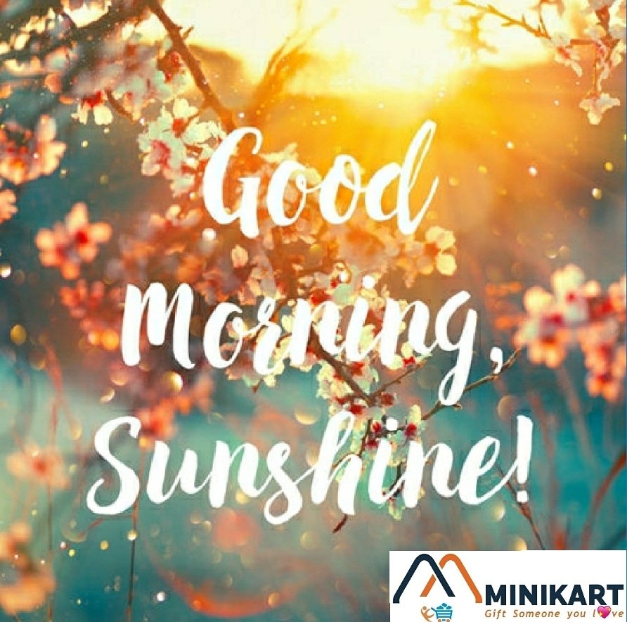 Minikart4's tweet photo. GOOD MORNING https://t.co/KlAIb6FIvJ