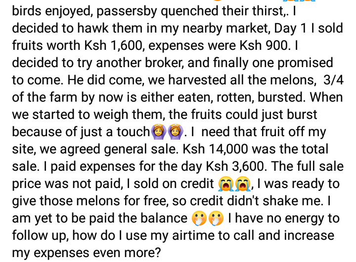 ezra_muinde_'s tweet photo. They'll give you stories about a banker who resigned to venture into passion fruit farming quoting some '000' figures been made weekly/monthly.
But they'll never tell you this 👇 https://t.co/P1A5ULLbys