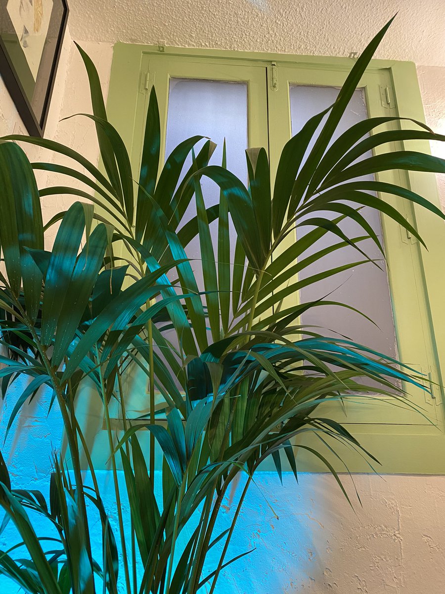 vanesacarro_'s tweet photo. Lugares que enamoran por dentro y por fuera 🥰
#madrid #aromaandbread https://t.co/ys9DMLz0RC