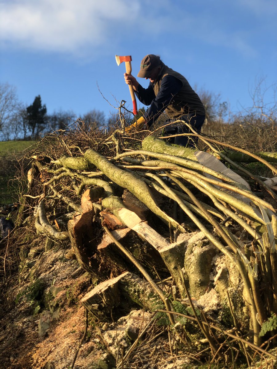 JRfromStrickley's tweet photo. Whilst I wasn’t tweeting for a while, I posted a few things on my Instagram account.
This was one of them and today seems a good day to share it on here.
I make no apologies for it being unedited and full of typos, but it is what it is. https://t.co/X5duJ3ZdWW