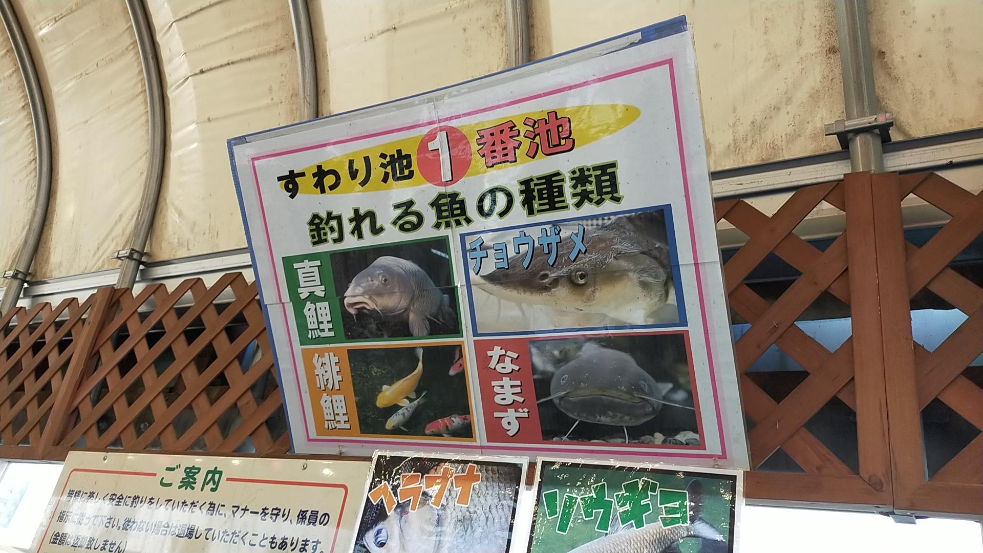 تويتر クラブツーリズム釣り部 على تويتر 釣り初心者女子が 都内最大級の釣り堀 スーパーフィッシング足立 へ 釣果は まさかの 詳細は 近日公開の動画にて はじめての釣り体験におすすめです 釣り女子 釣りガール T Co Dqtpcbnheb