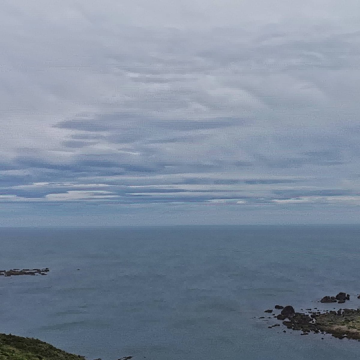 WildBayNZ's tweet photo. Like a curtain opening, the low clouds/mist have opened which showed some gentle clouds over the Cook Strait and South Island.
#Clouds #MoaPoint #CookStrait #SouthIsland https://t.co/Puf55yLkR7
