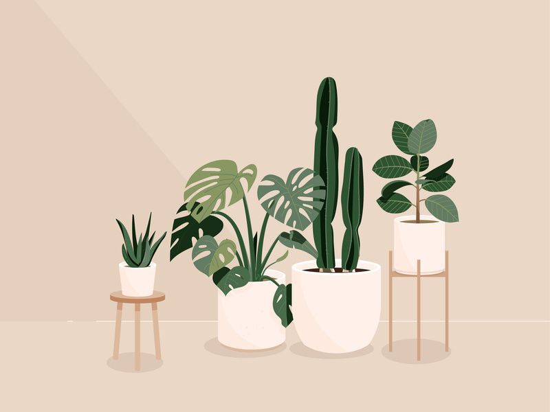Cute plants