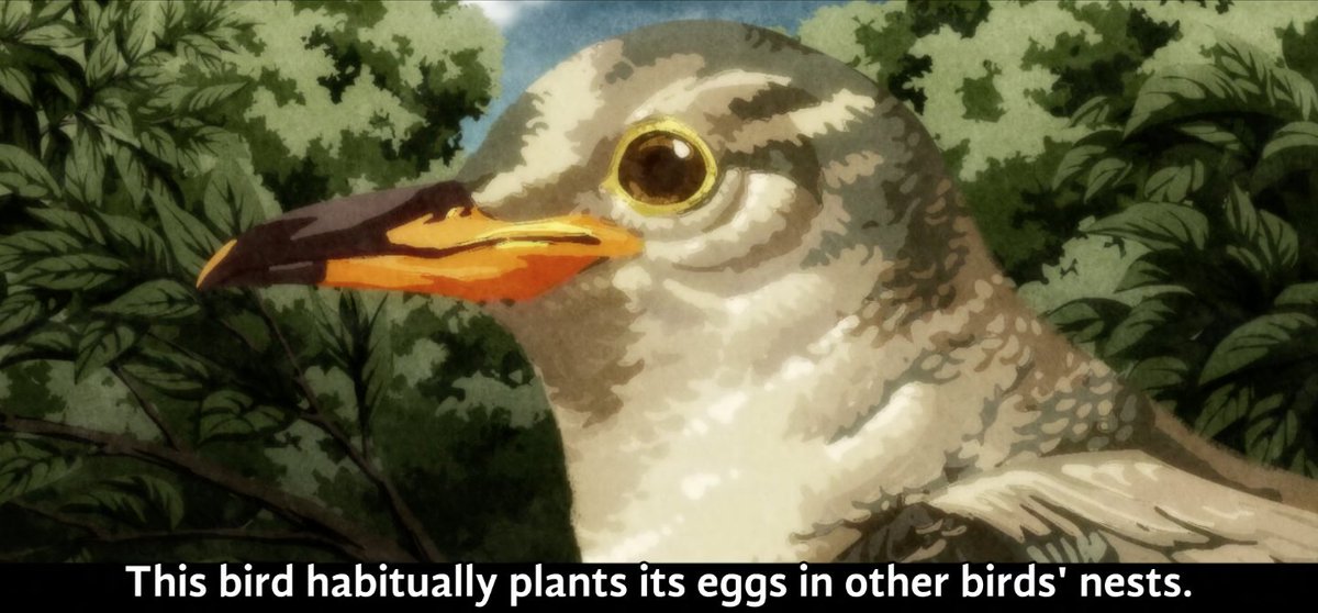 For Tsukihi, she is symbolized as a phoenix but also as a cuckoo. A bird that lays their eggs in others' nests and has their child pretend to be that of another. she is an oddity that was "layed" in the her mothers stomach and then birthed. she isnt a real daughter. she is a fake