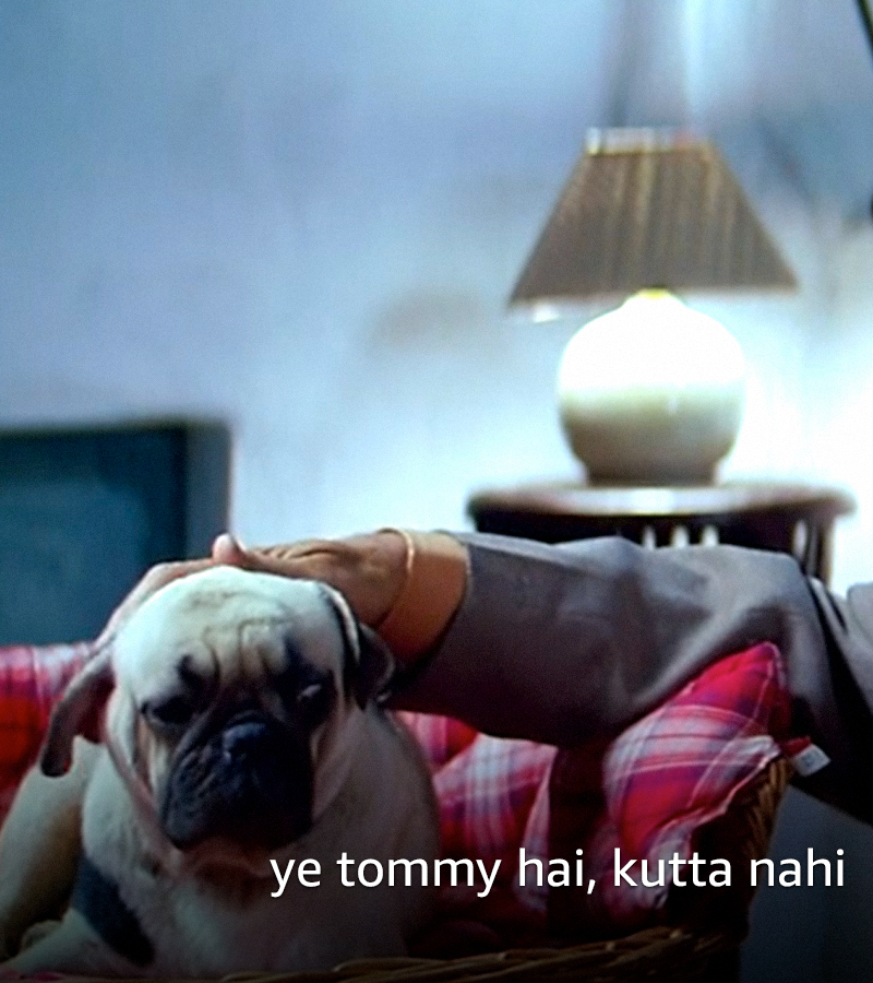 PrimeVideoIN's tweet photo. #TaudaKuttaTommy sadda kutta kutta??! https://t.co/LpD7wyG1Sy
