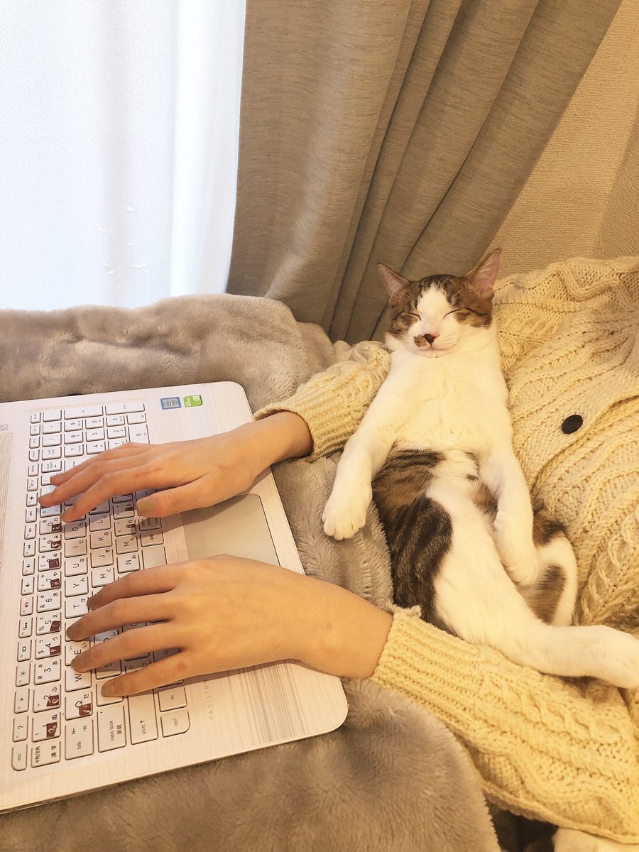 在宅で仕事をすると猫さんの健やかな寝顔が見れるし 最高のお昼寝スポットになれる 幸せそう Togetter 在宅で仕事をすると猫さんの健やかな寝顔が見れるし 最高のお昼寝スポットになれる 幸せそう Togetter