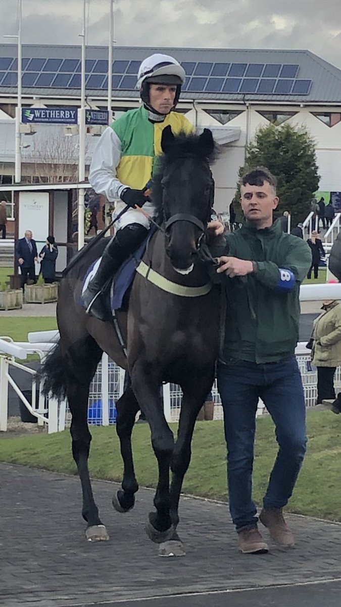 FluffyPickle's tweet photo. Good luck to @suesmithracing and my favourite boy Absolutely Dylan at Hexham,fingers crossed he gets a well deserved win. Safe home all #lovedylan https://t.co/EijResbgtU
