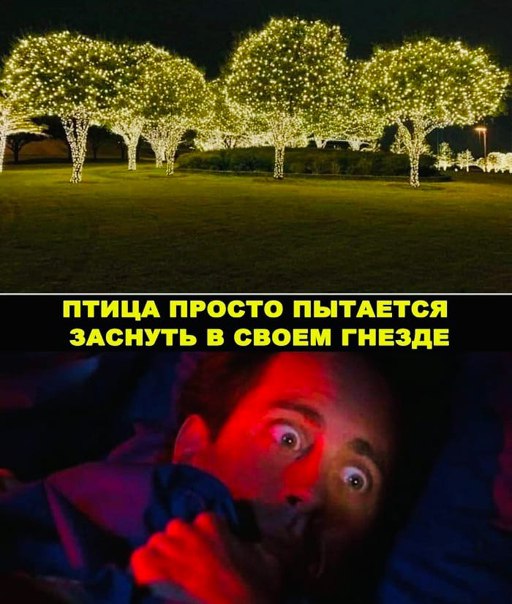 Симпозиум годноты (@spy45242) on Twitter photo 